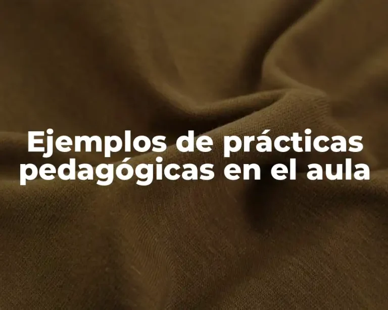 Ejemplos de prácticas pedagógicas en el aula