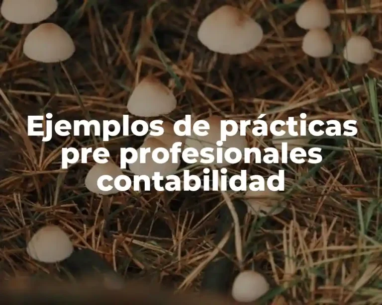 Ejemplos de prácticas pre profesionales contabilidad