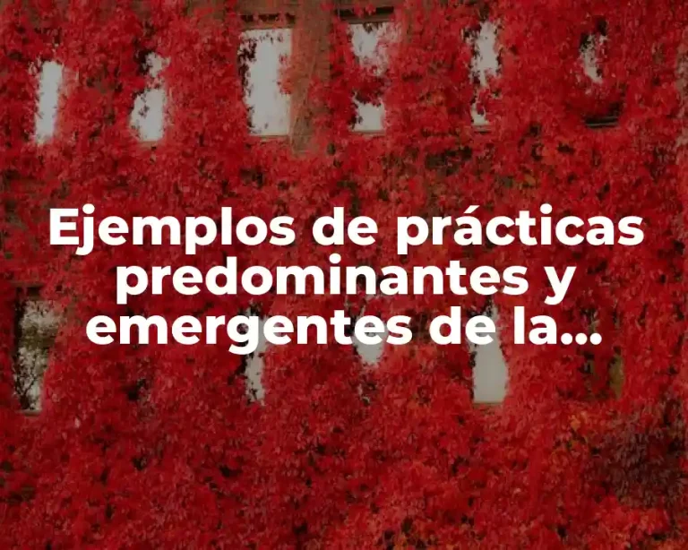 Ejemplos de prácticas predominantes y emergentes de la ingeniería