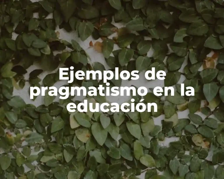 Ejemplos de pragmatismo en la educación
