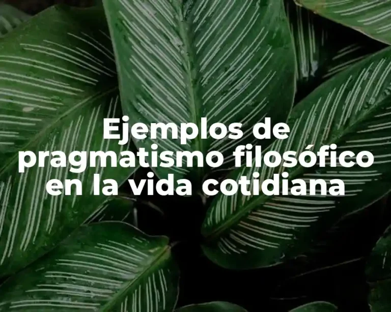 Ejemplos de pragmatismo filosófico en la vida cotidiana