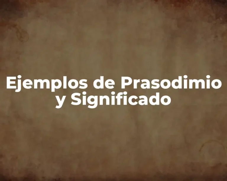 Ejemplos de Prasodimio y Significado