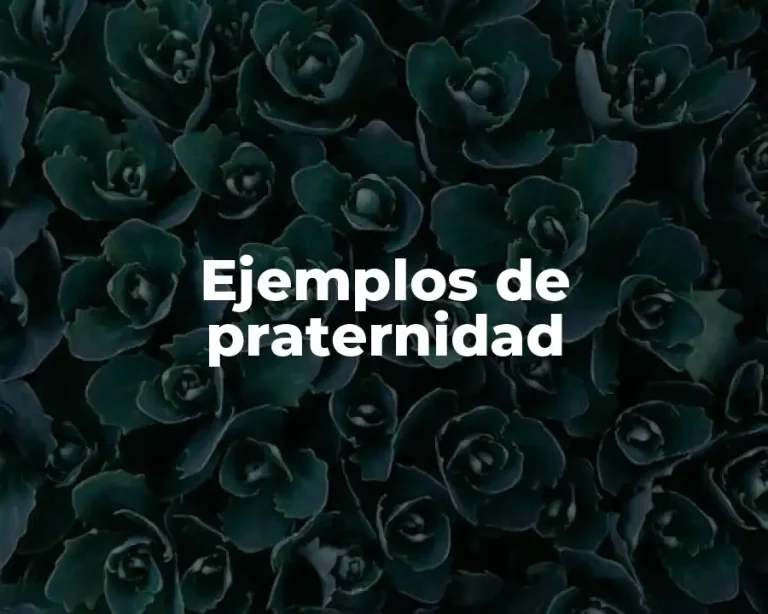 Ejemplos de praternidad