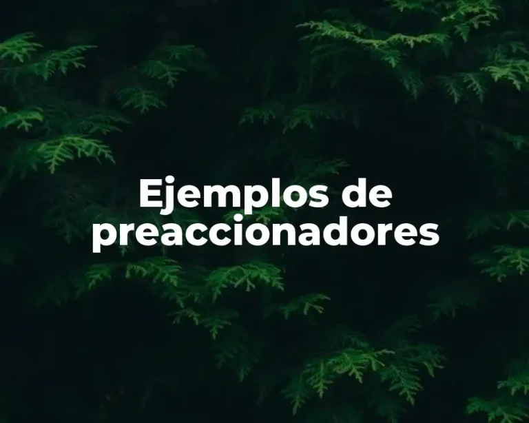 Ejemplos de preaccionadores