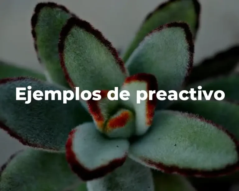 Ejemplos de preactivo