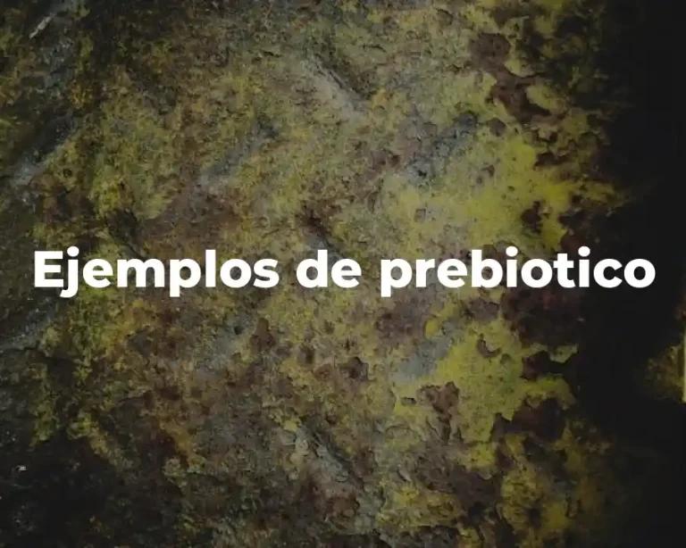 Ejemplos de prebiotico