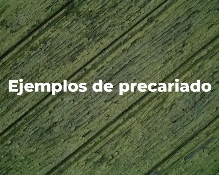 Ejemplos de precariado