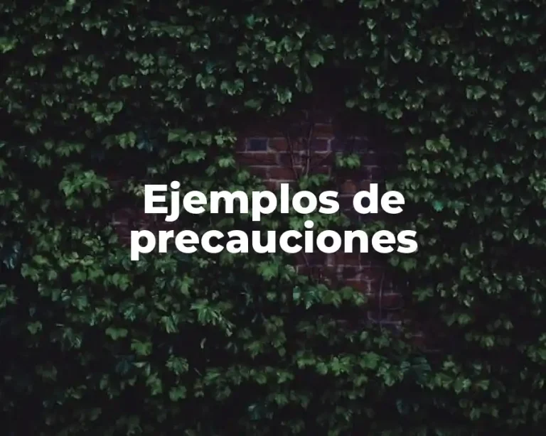 Ejemplos de precauciones