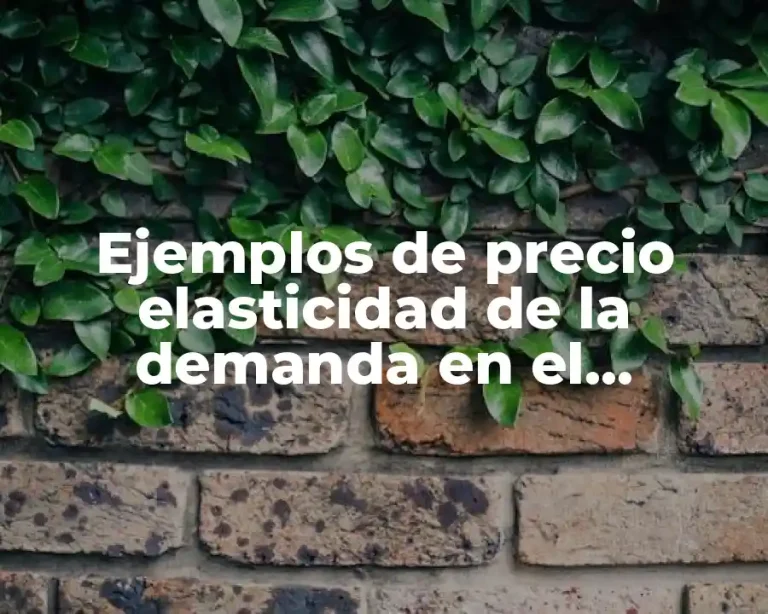 Ejemplos de precio elasticidad de la demanda en el monopolio