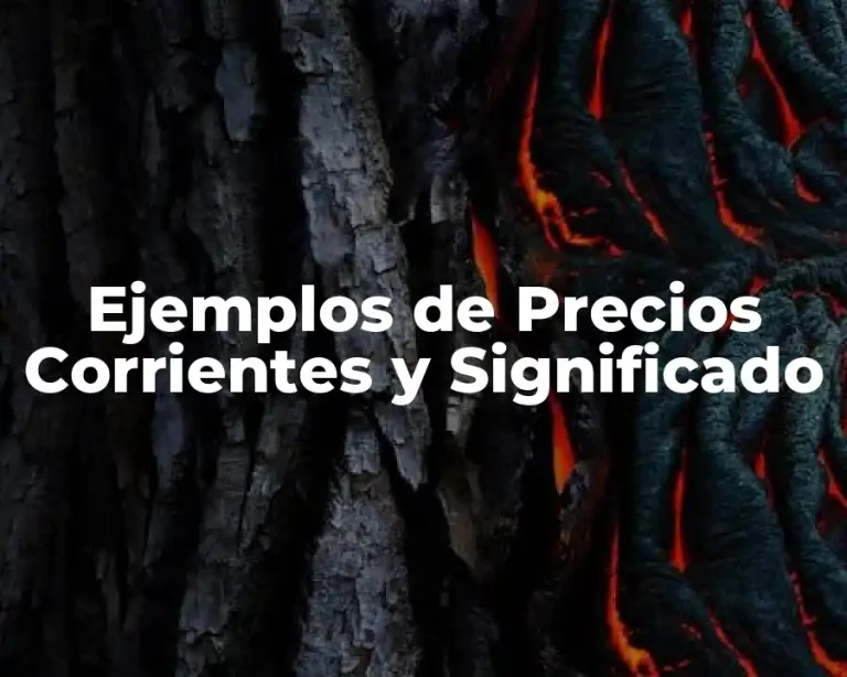 Ejemplos de Precios Corrientes y Significado