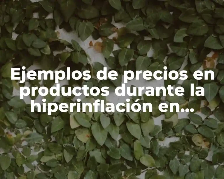 Ejemplos de precios en productos durante la hiperinflación en Alemania y Significado