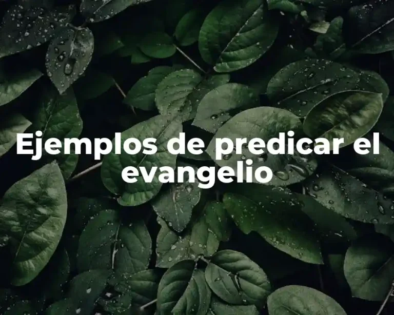 Ejemplos de predicar el evangelio