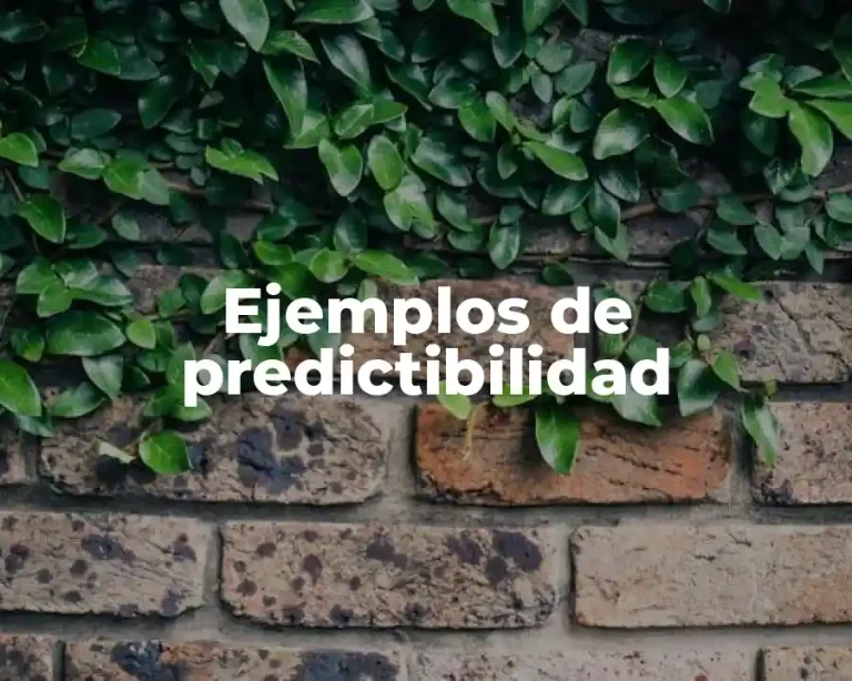 Ejemplos de predictibilidad