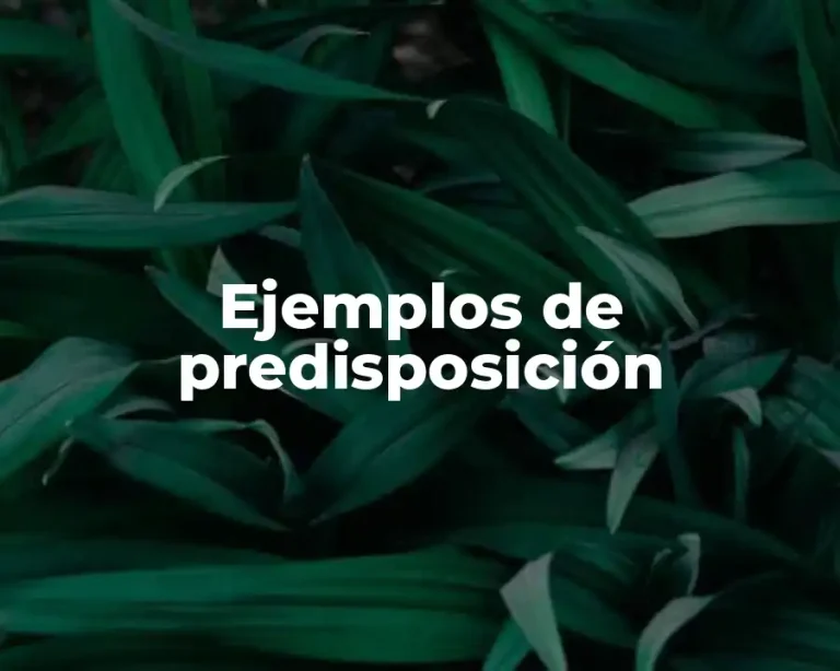 Ejemplos de predisposición
