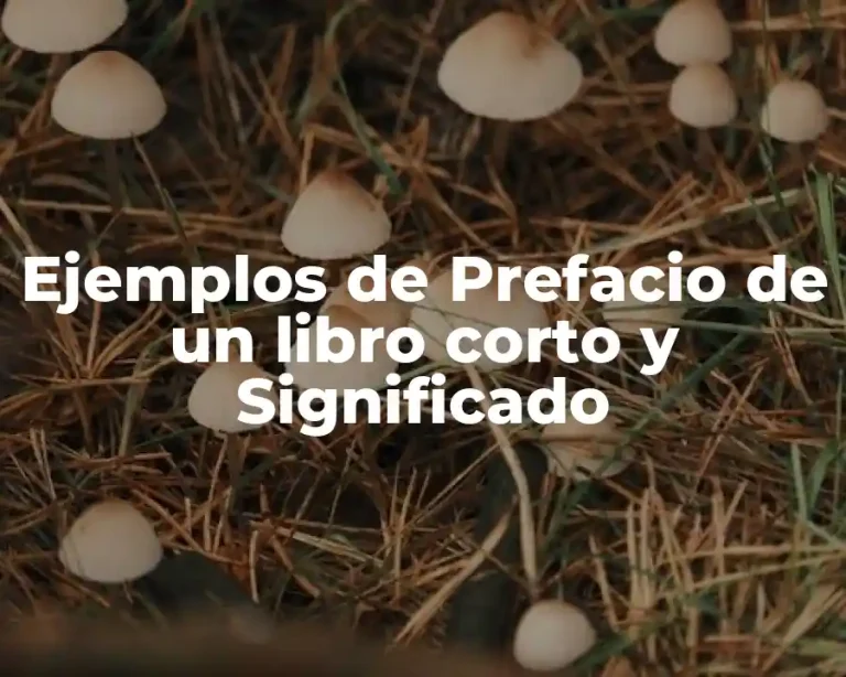 Ejemplos de Prefacio de un libro corto y Significado