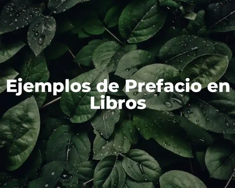 Ejemplos de Prefacio en Libros