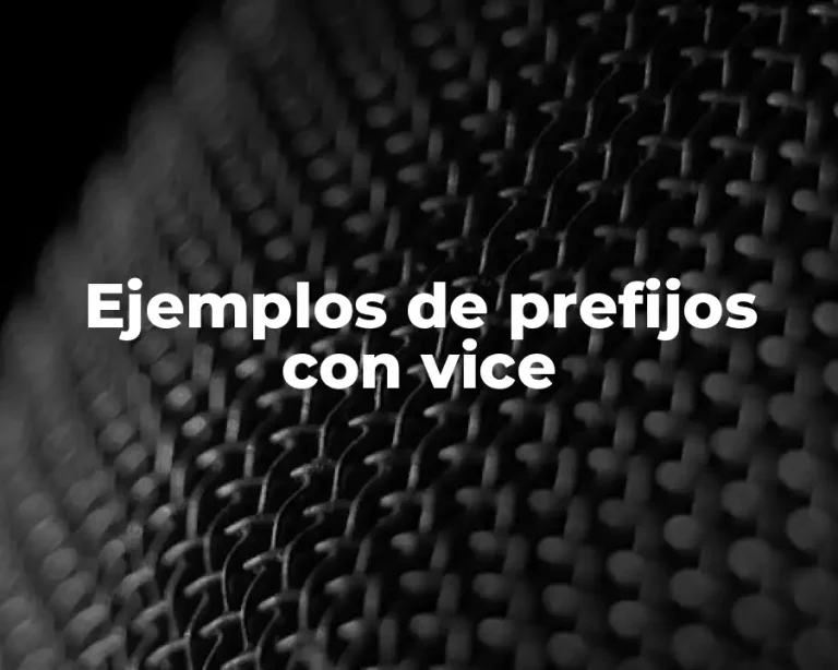 Ejemplos de prefijos con vice