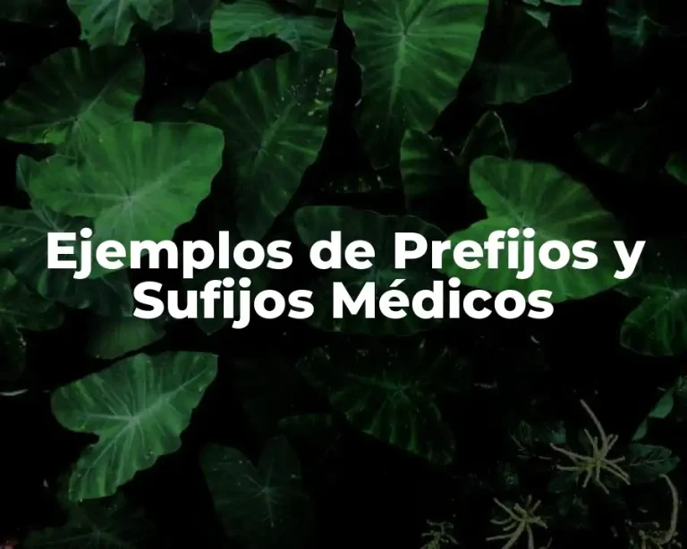 Ejemplos de Prefijos y Sufijos Médicos