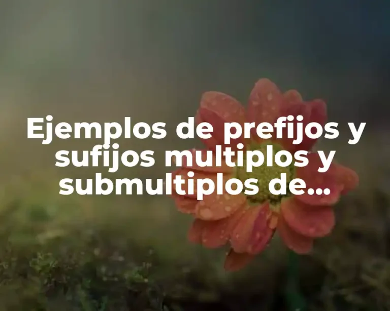 Ejemplos de prefijos y sufijos multiplos y submultiplos de unidades