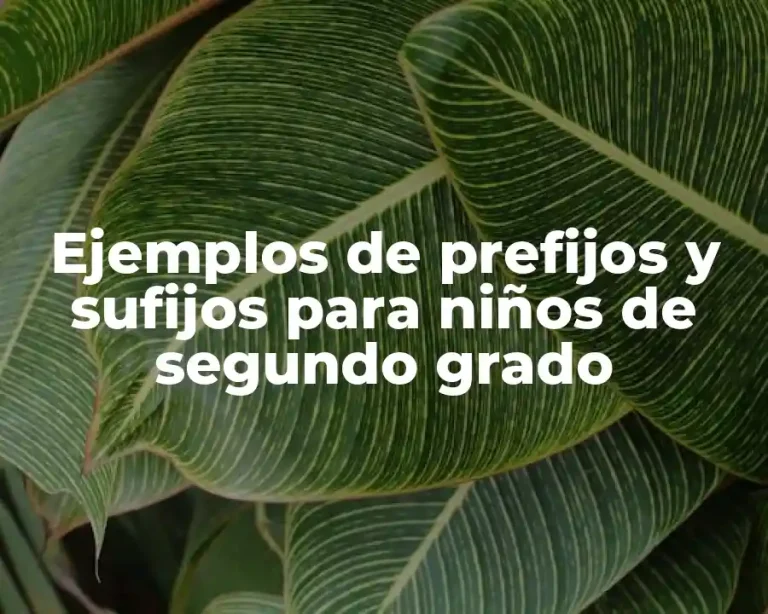 Ejemplos de prefijos y sufijos para niños de segundo grado