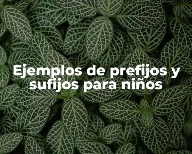 Ejemplos de prefijos y sufijos para niños