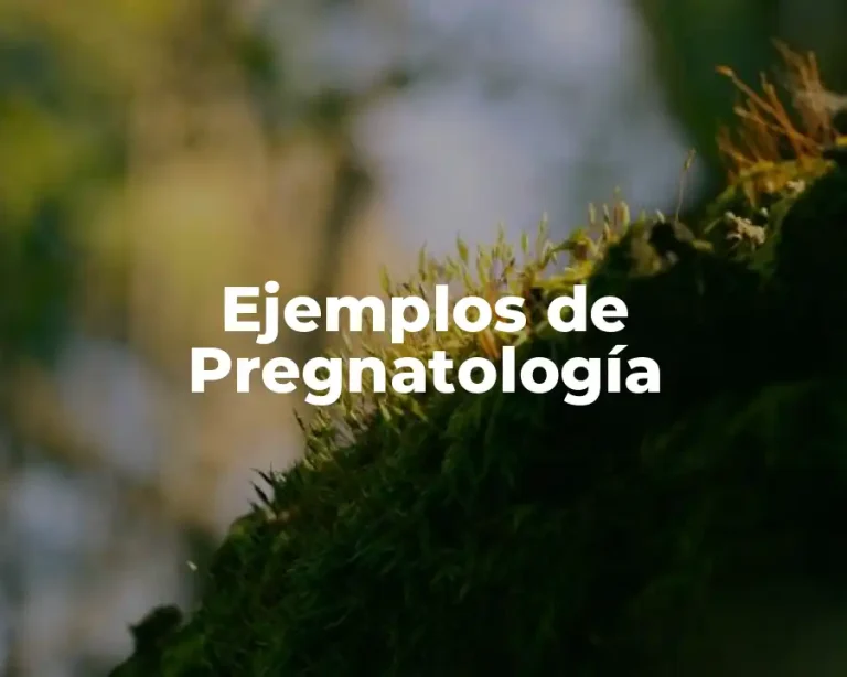 Ejemplos de Pregnatología