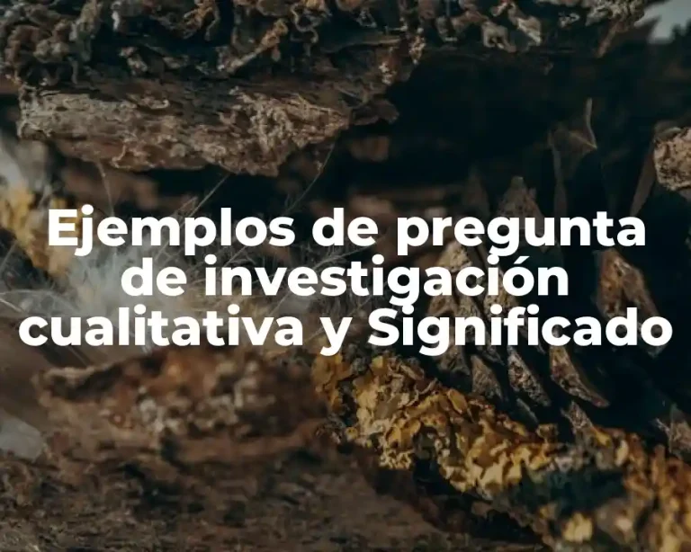 Ejemplos de pregunta de investigación cualitativa y Significado