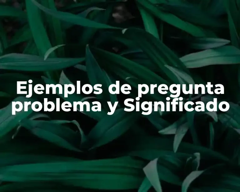 Ejemplos de pregunta problema y Significado
