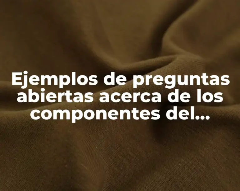 Ejemplos de preguntas abiertas acerca de los componentes del acumulador