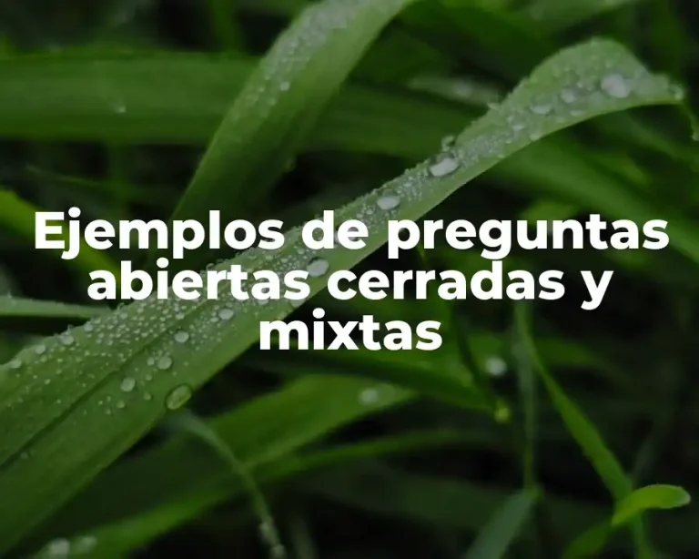 Ejemplos de preguntas abiertas cerradas y mixtas