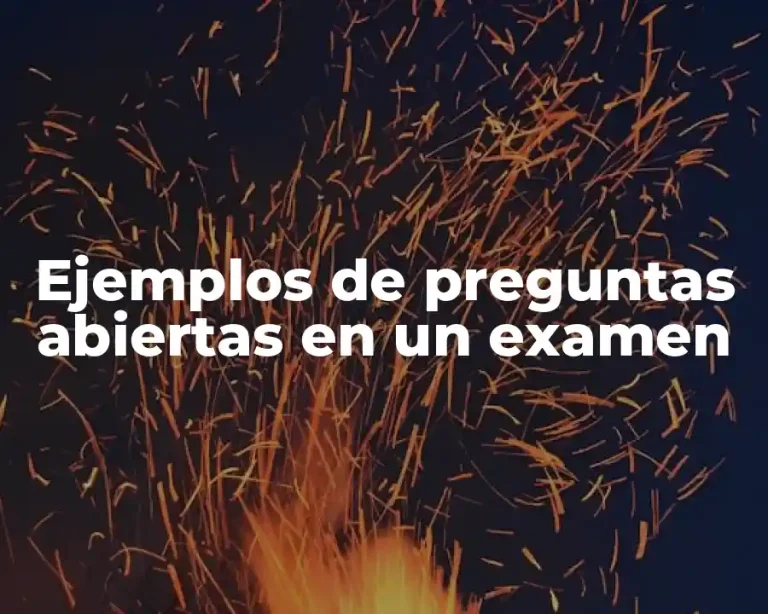 Ejemplos de preguntas abiertas en un examen