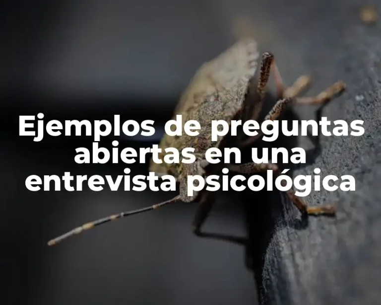 Ejemplos de preguntas abiertas en una entrevista psicológica