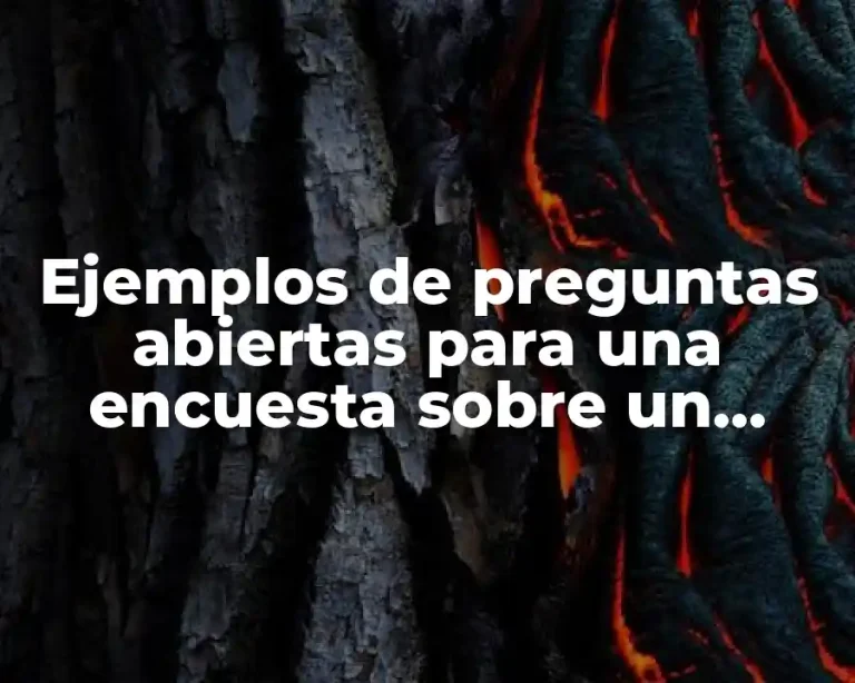 Ejemplos de preguntas abiertas para una encuesta sobre un producto