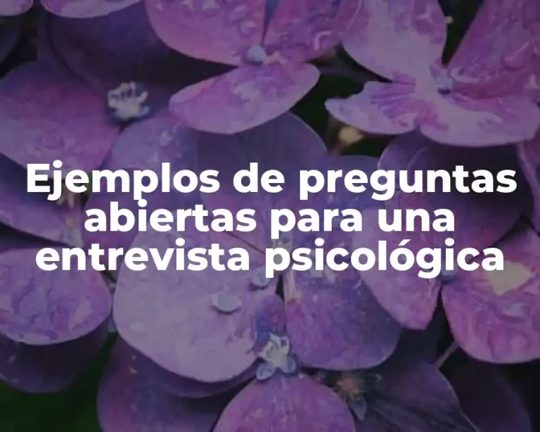 Ejemplos de preguntas abiertas para una entrevista psicológica