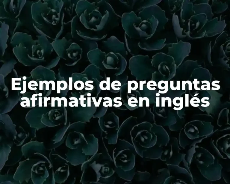 Ejemplos de preguntas afirmativas en inglés