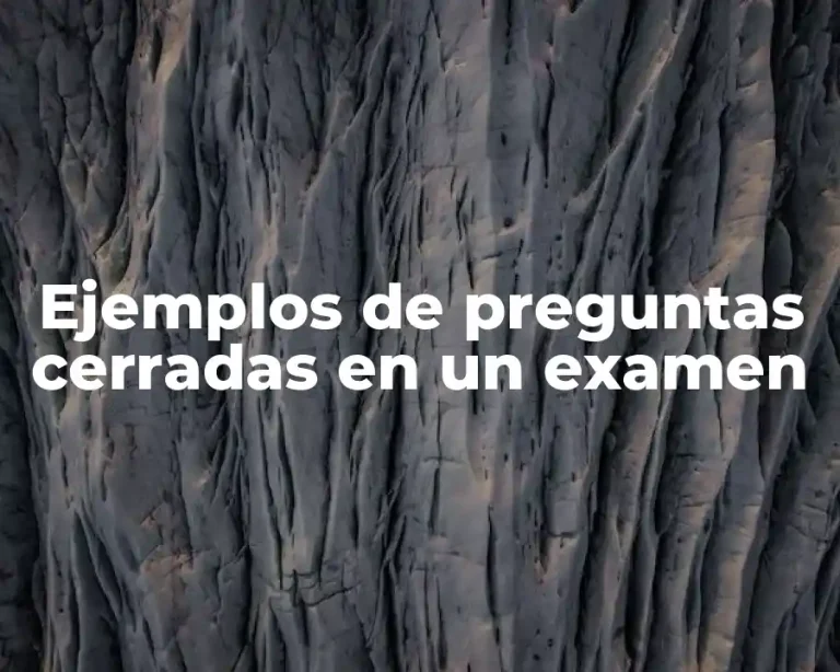 Ejemplos de preguntas cerradas en un examen