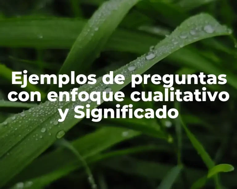 Ejemplos de preguntas con enfoque cualitativo y Significado
