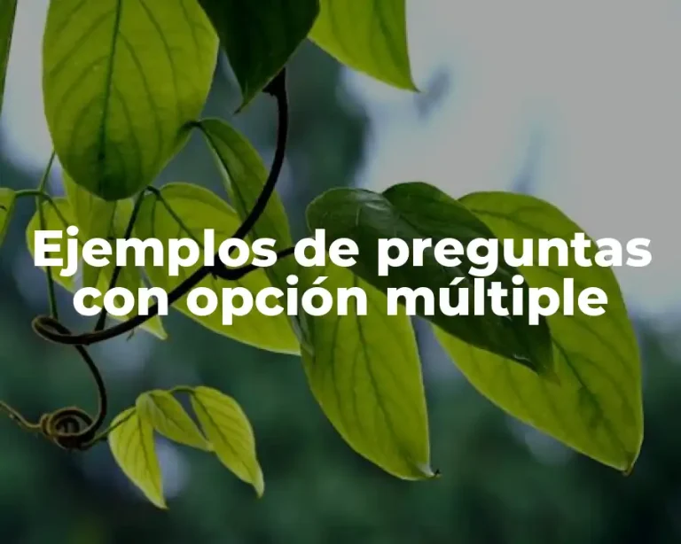 Ejemplos de preguntas con opción múltiple