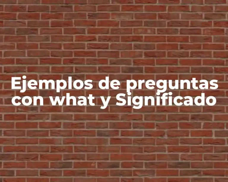 Ejemplos de preguntas con what y Significado