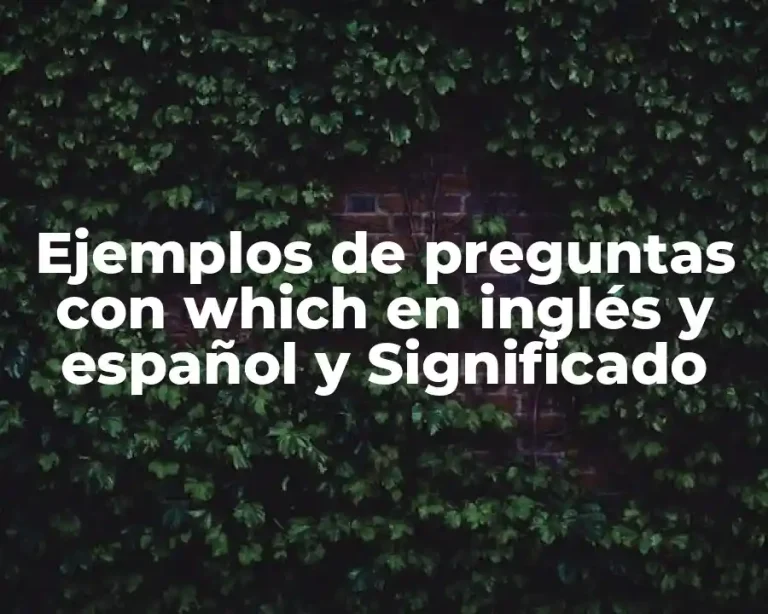 Ejemplos de preguntas con which en inglés y español y Significado