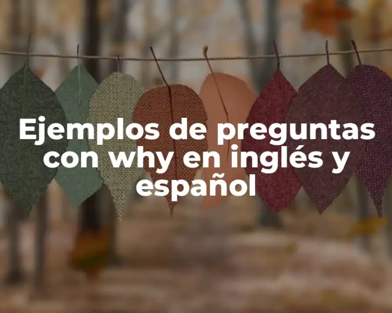 Ejemplos de preguntas con why en inglés y español