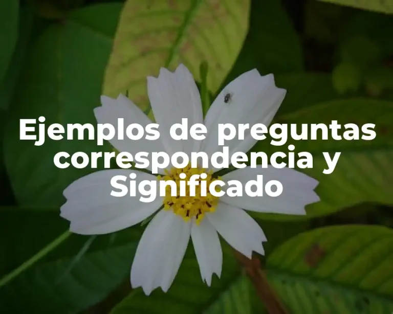 Ejemplos de preguntas correspondencia y Significado
