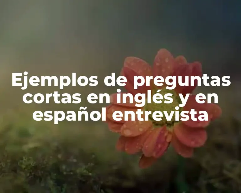 Ejemplos de preguntas cortas en inglés y en español entrevista