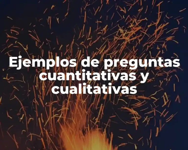 Ejemplos de preguntas cuantitativas y cualitativas