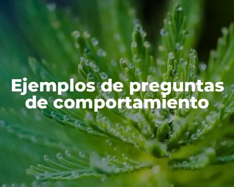 Ejemplos de preguntas de comportamiento