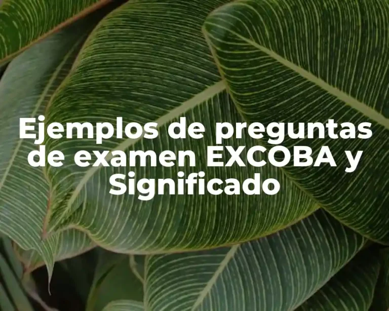 Ejemplos de preguntas de examen EXCOBA y Significado