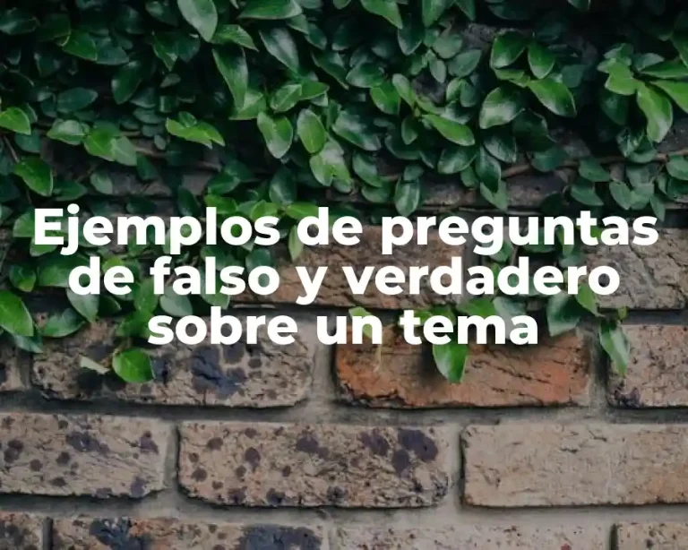Ejemplos de preguntas de falso y verdadero sobre un tema