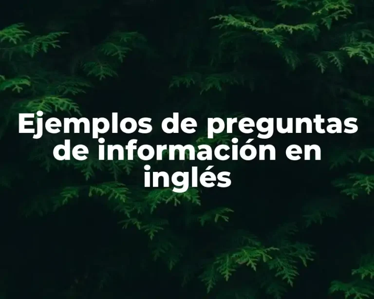 Ejemplos de preguntas de información en inglés