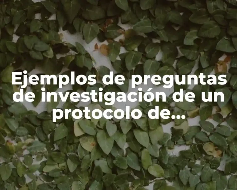 Ejemplos de preguntas de investigación de un protocolo de investigación