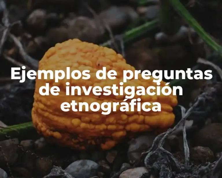 Ejemplos de preguntas de investigación etnográfica